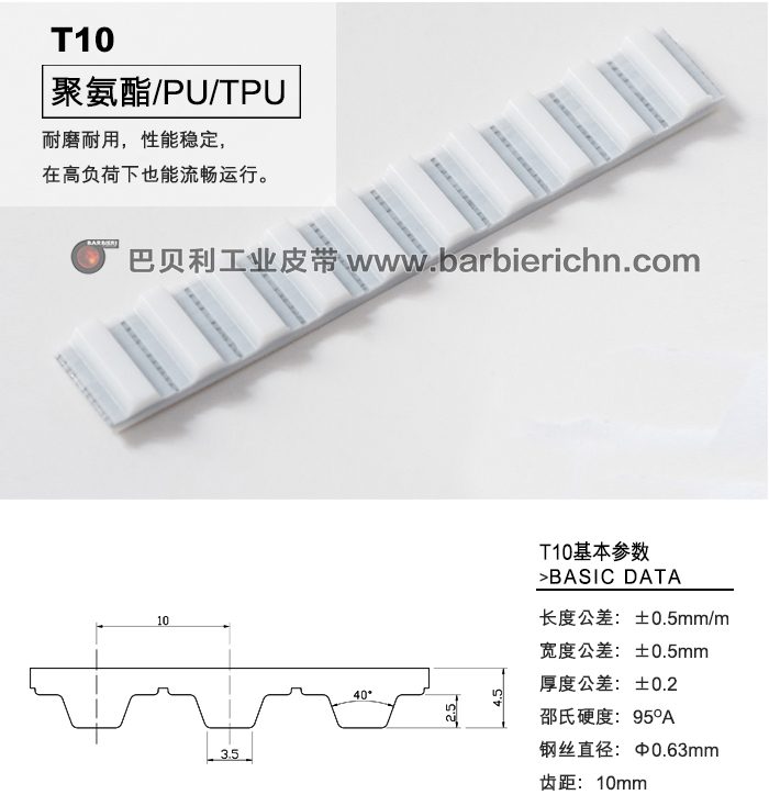 T10齒型